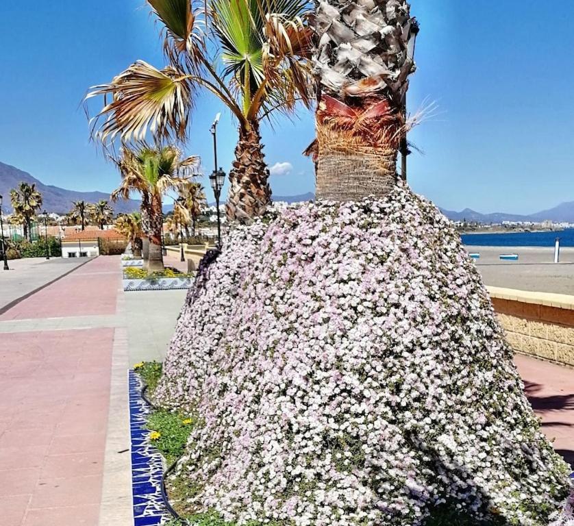 28 Mikonos Playa In Puerto De La Duquesa 2 Bed 2 Bath Apartment Ideally Located To The Beach & Marina Castillo de Sabinillas Eksteriør billede